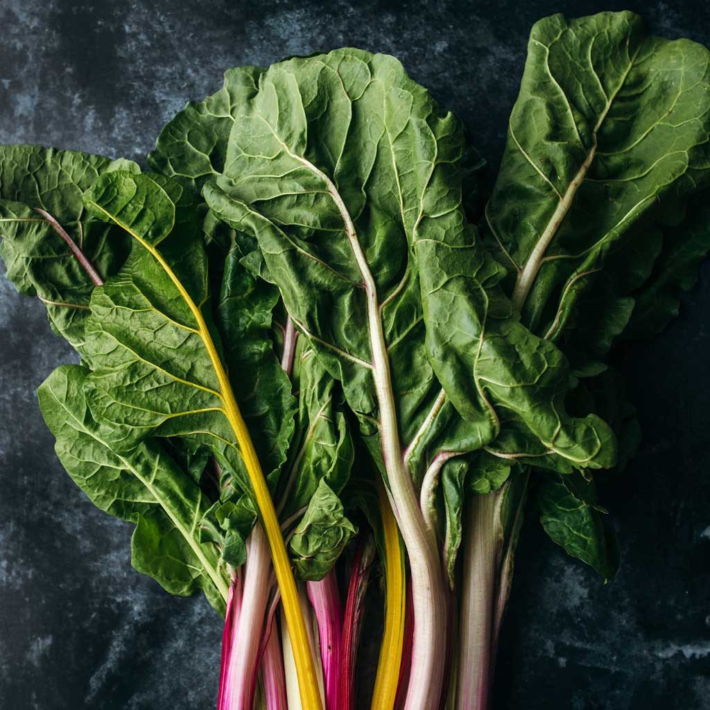 Shop Digestion & Gut Health