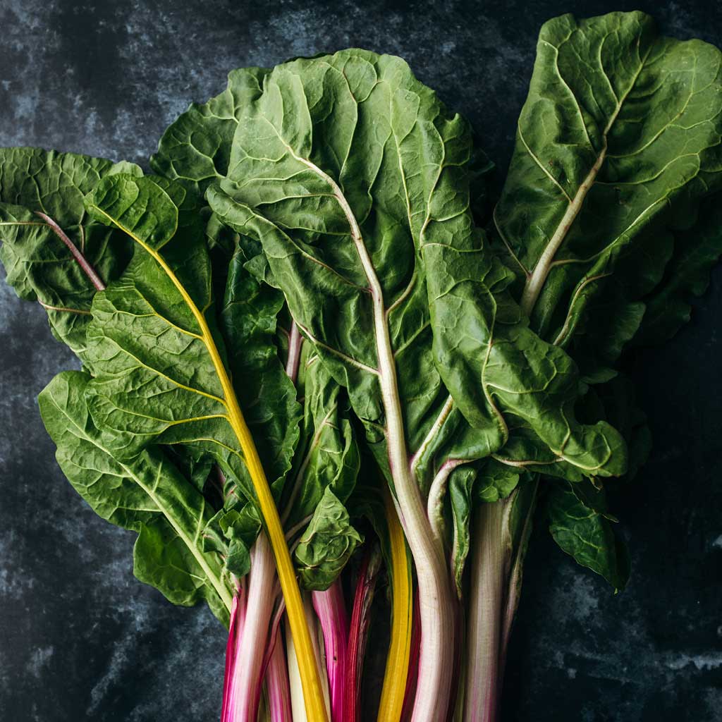 Shop Digestion & Gut Health