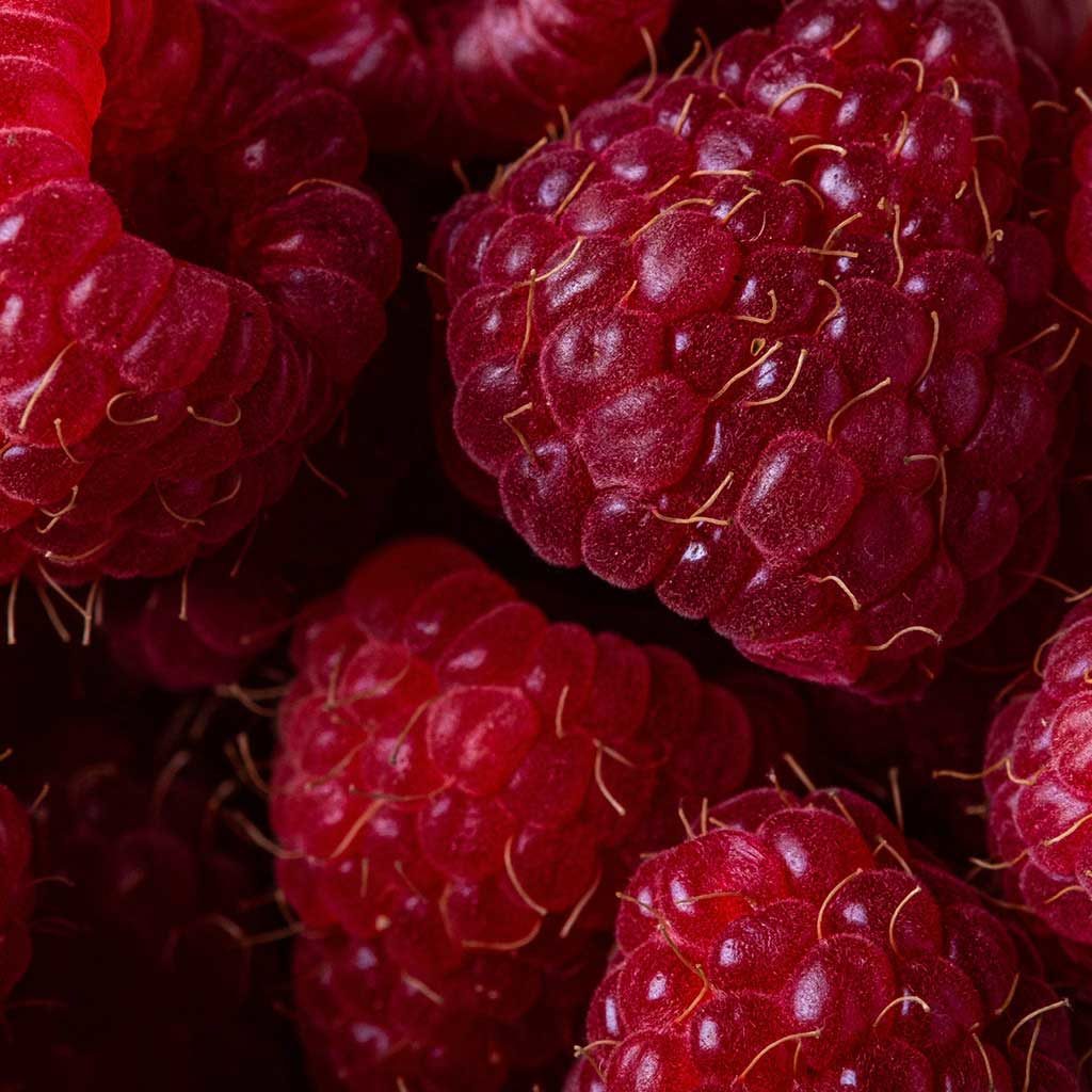 Close-up photo of raspberries.