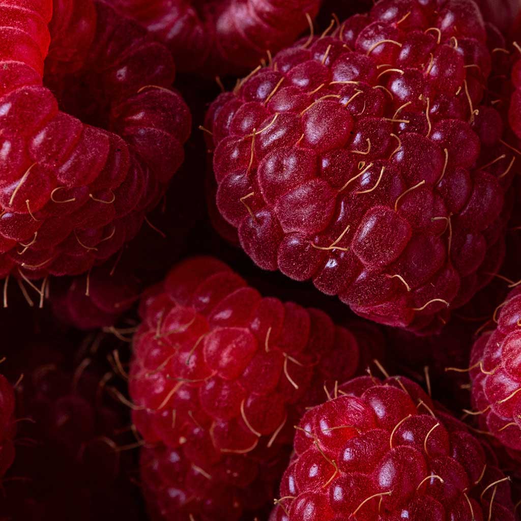 Close-up photo of raspberries.