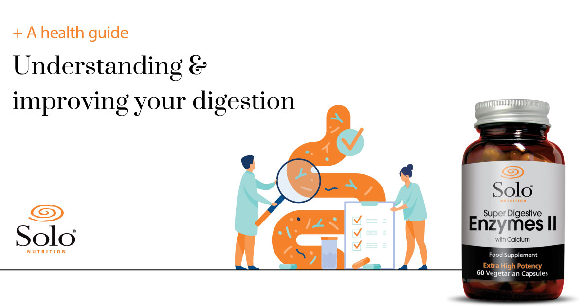 Understanding & Improving Your Digestion Illustration