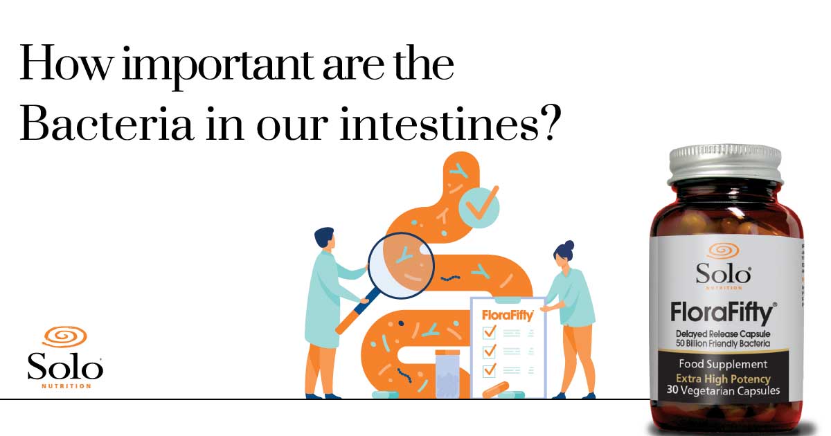 How Important Are The Bacteria In Our Intestines